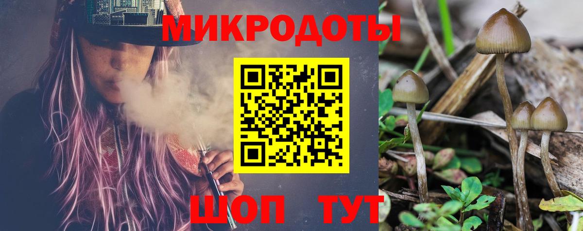 Псилоцибиновые грибы Psilocybe Партизанск